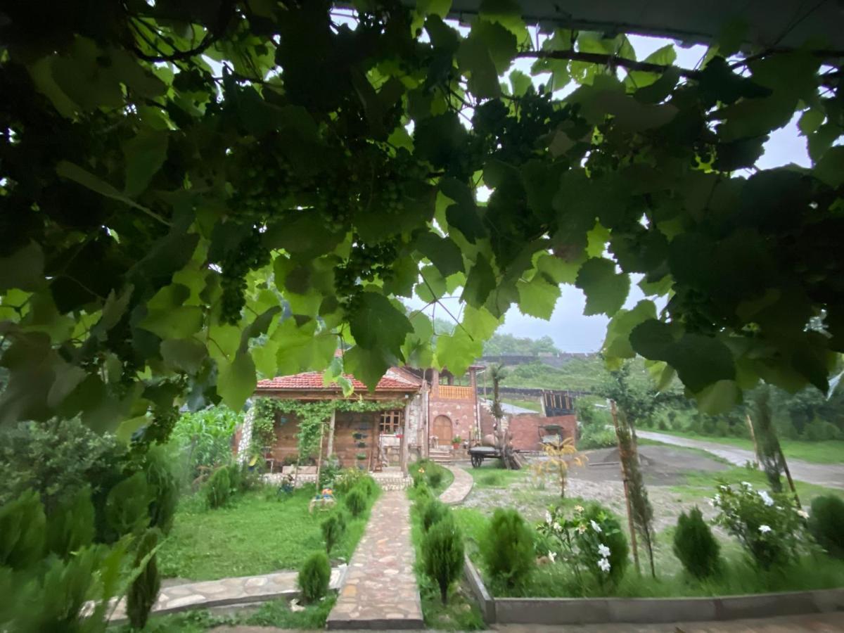 Odo'S Guest House Мартвілі Екстер'єр фото