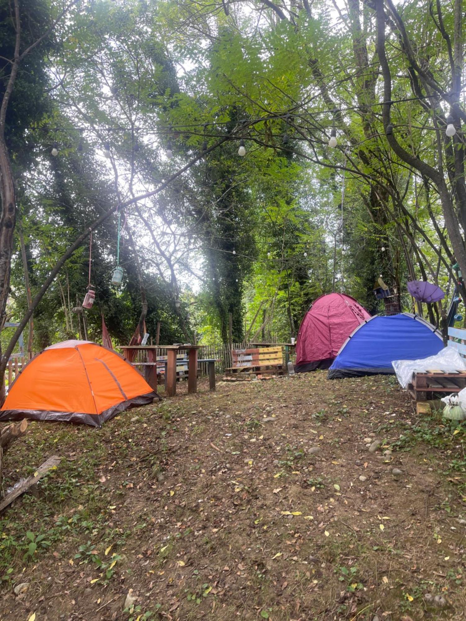 Odo'S Guest House Мартвілі Екстер'єр фото