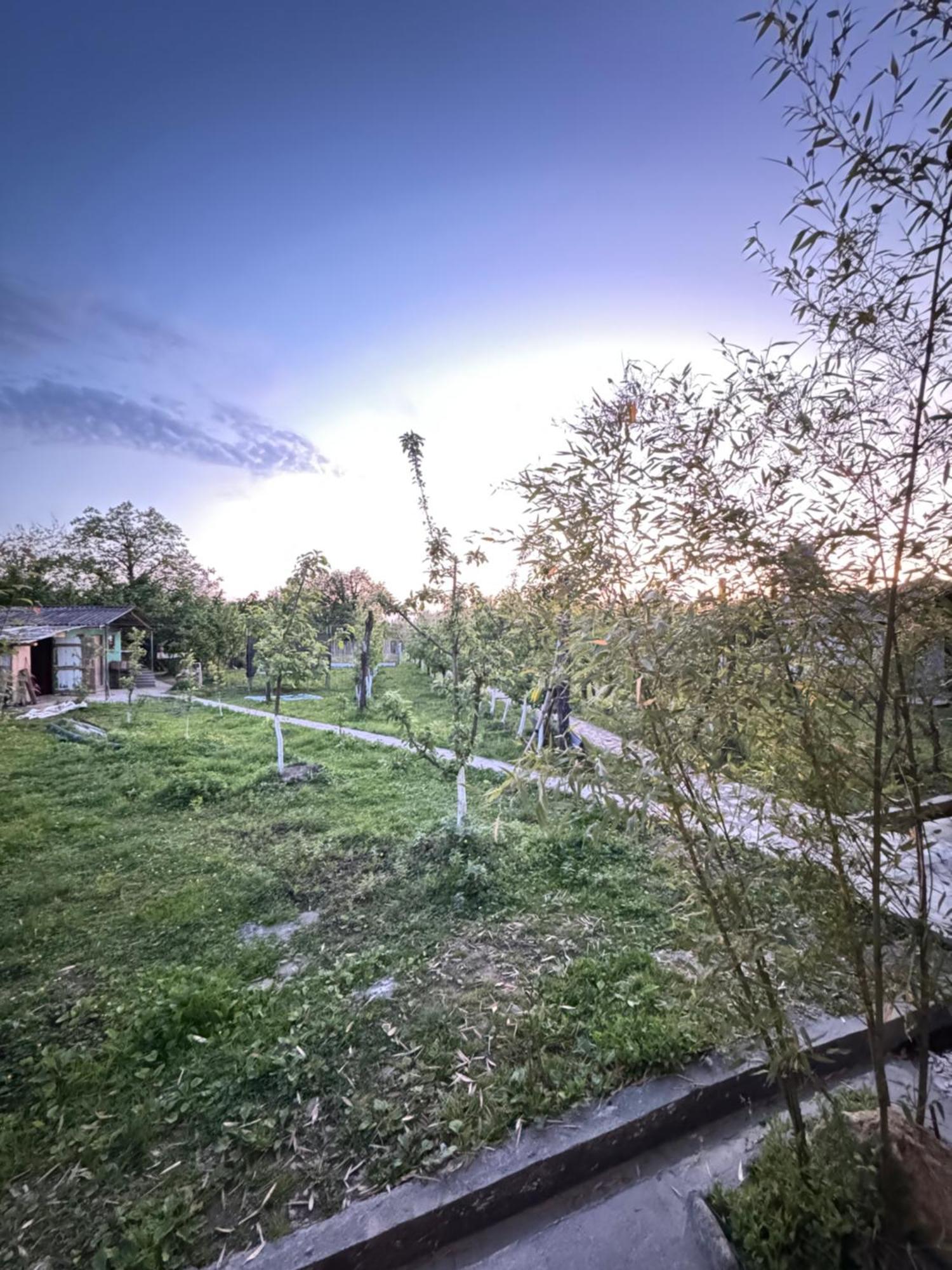 Odo'S Guest House Мартвілі Екстер'єр фото